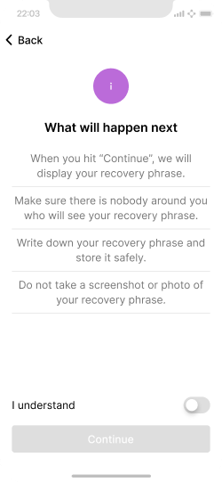 Screen explaining that the recovery phrase will be shown next and how to write it down