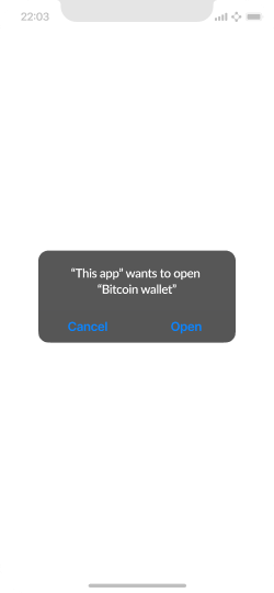 Screen showing a payment link being opened by a wallet.