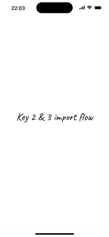 Placeholder screen that represents the import flow for keys number two and three.