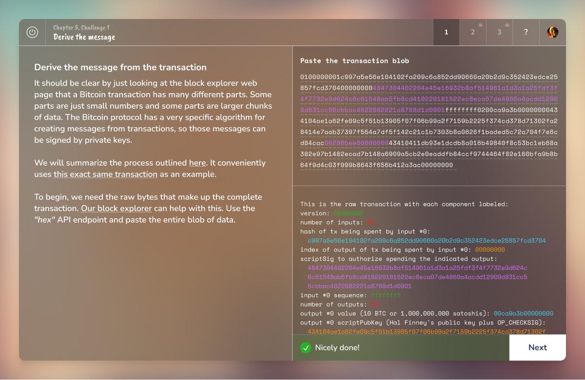 Challenge screen from Saving Satoshi Chapter 5 titled 'Derive the message', showing instructions about bitcoin transaction structure alongside a hex transaction blob and its decoded components in different colors.