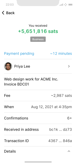 Smartphone screen showing an on-chain payment with expanded technical details