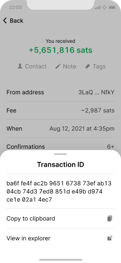 Smartphone screen showing an on-chain payment with extended details and an additional modal for further technical details