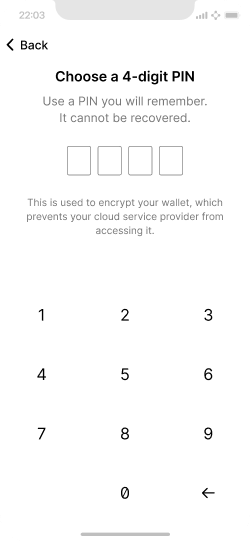 The user can set a PIN which will be used to authenticate and access the wallet