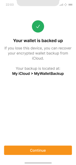 Screen showing completing a cloud backup