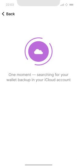 Screen shows an animation while the cloud backup is found
