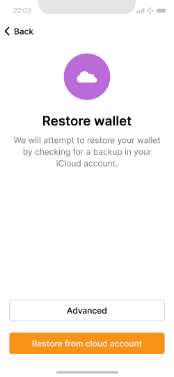 Screen that describes restoring the wallet from a cloud backup