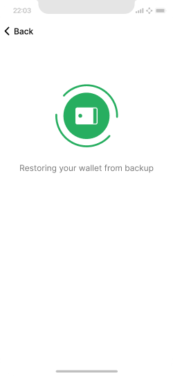 Screen shows an animation while the wallet is being restored