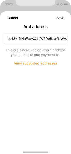 Address entry screen with inline validation for an on-chain address