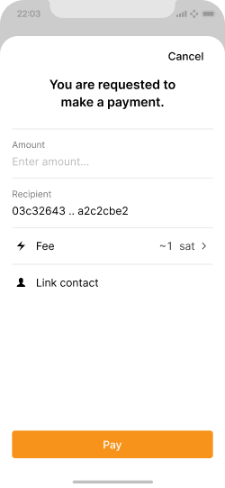 Invoice modal with minimal payment details