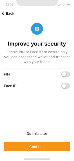 Security options explainer screen with PIN and Face ID options