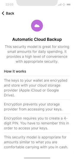 An app screen with detailed information about how cloud backups work.