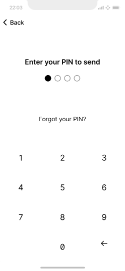 Enter PIN screen