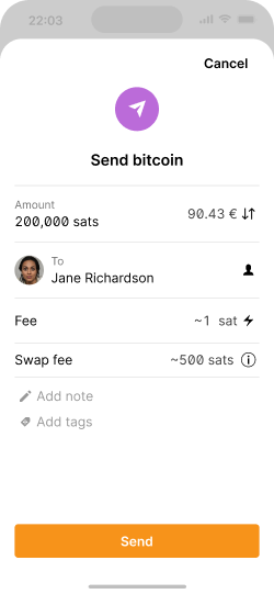 A send screen showing both lighting network and service fees.