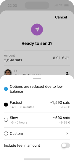 Fee picker with reduced options and an indicator stating that the balance is low.