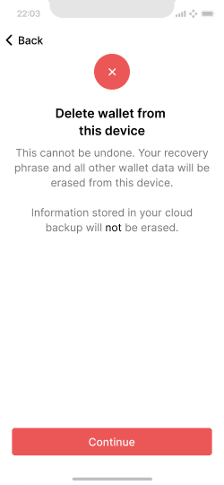 Confirmation modal for deleting the wallet from the device