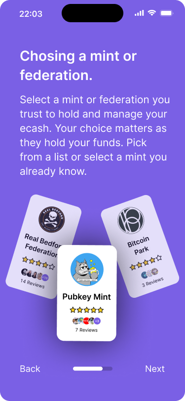 Screen instructing users on choosing a mint or federation to manage their ecash. Three mint cards are displayed with names, logos, reviews, and star ratings, encouraging users to make an informed choice.