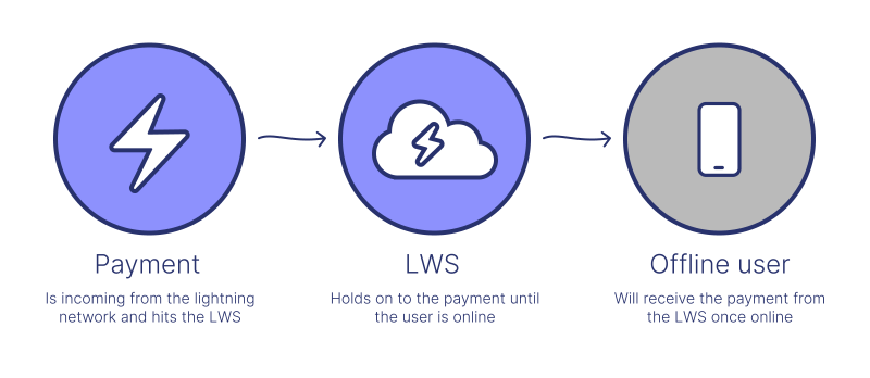 How an LWS helps users accept payments while offline