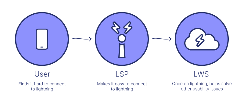 What is a lightning wallet server (LWS)?