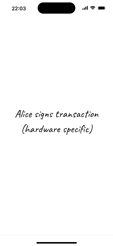 Placeholder screen representing the transaction signing flow on Alice's hardware wallet.