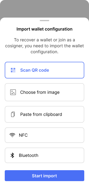 Screen showing different options for importing the wallet configuration.