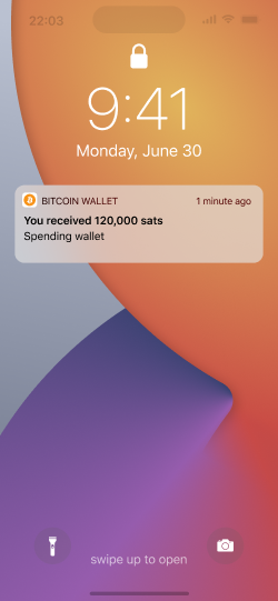 Lock screen with a payment notification that includes the wallet name