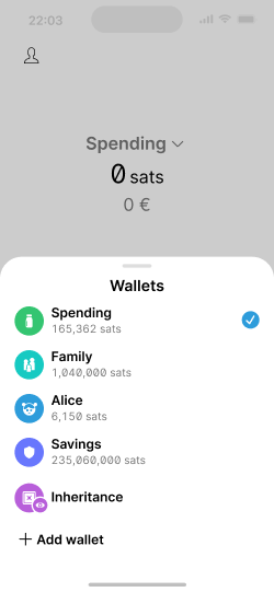 Wallet payments screen with expanded list wallet of wallets