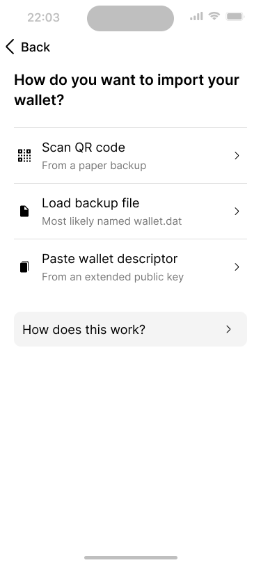 Option screen showing different import methods for the wallet.