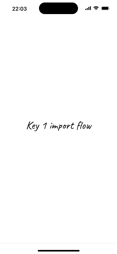 Placeholder screen that represents the import flow for key number one.